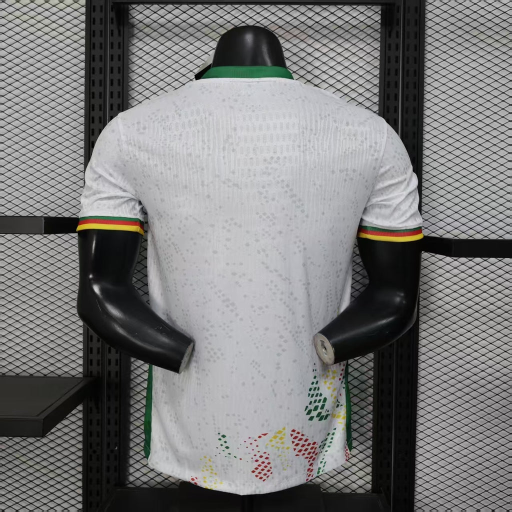 Cameroun extérieur 26/27 version Pro