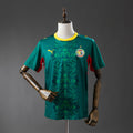 Sénégal domicile 26/27 version Fan
