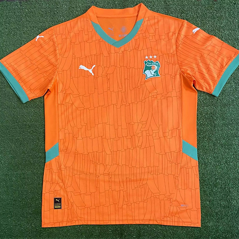 Cote d'ivoire Domicile 25/26 version Fan