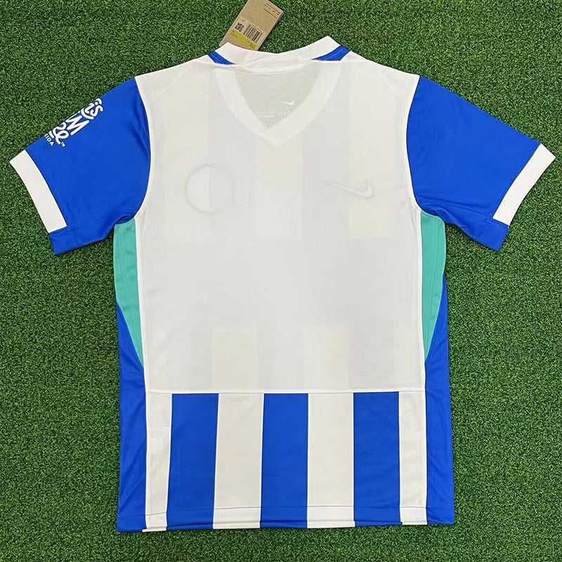 Brighton Domicile 25/26 version Fan